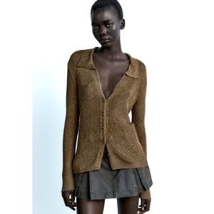 Zara Metallic Mesh Knit Cardigan